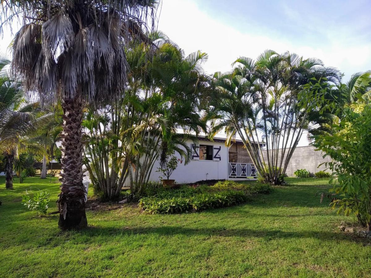 Villa & Bungalow Fleur De Coco Sainte-Anne  Exteriér fotografie
